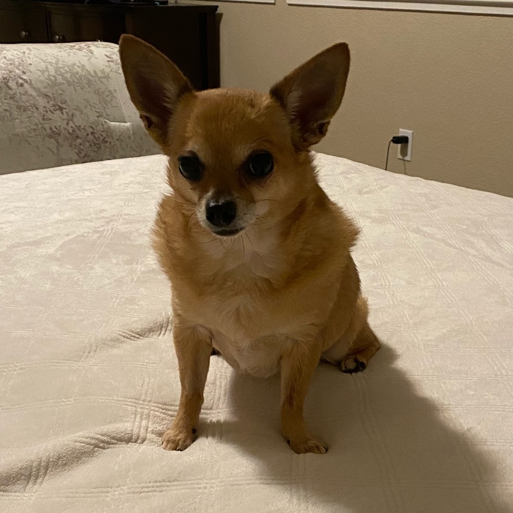 Meet your Posher, Ana